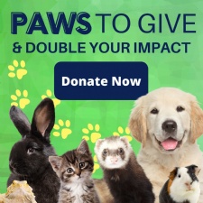 Double Your Impact on Animals this Giving Tuesday