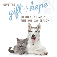 A Holiday Wish from the Animals