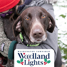Pet Nights at Woodland Lights