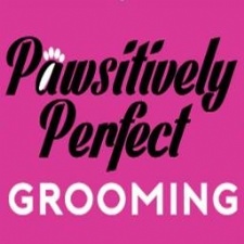 Pawsitively Perfect Grooming
