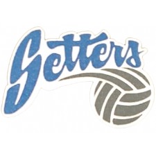Setter's Sand Volleyball