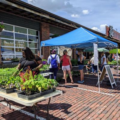 Native Plant Sale at 2nd Street Market
