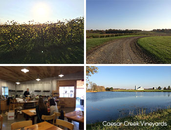 Caesar Creek Vineyards