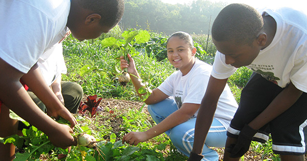 Teens Grow & Earn Some Green in the Garden During Summer Program