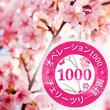 Operation 1000 Cherry Trees