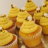 The Explosion of Cupcake Mania in Dayton