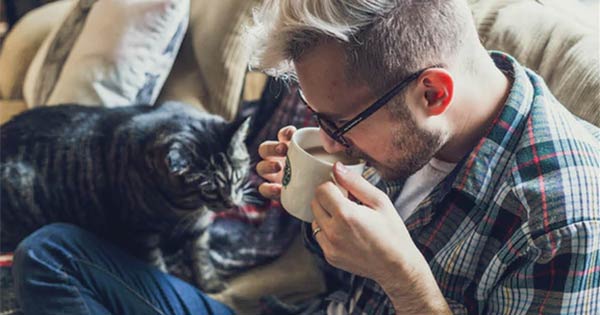 Cat Cafe to open in Dayton this Summer