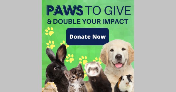 Double Your Impact on Animals this Giving Tuesday