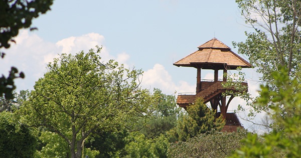 Tree Tower at Cox Arboretum to be rebuilt