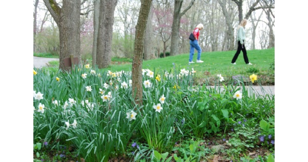 Five Rivers MetroParks invites public to learn about future plans for five park destinations