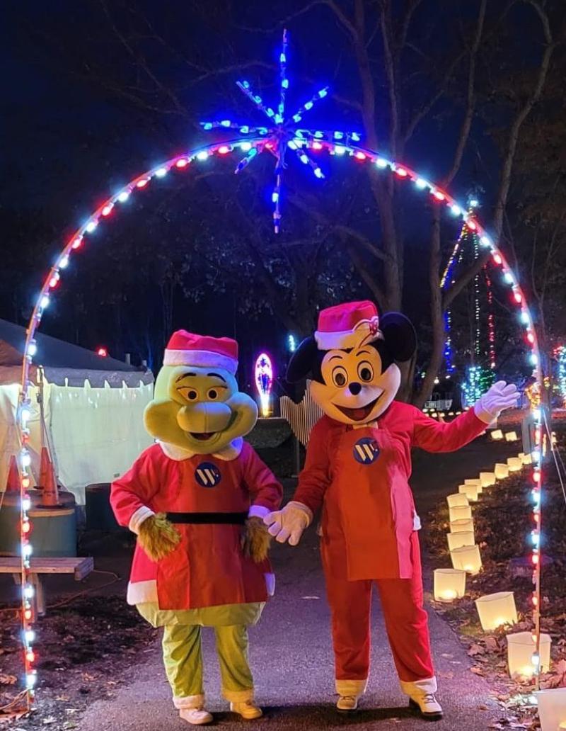 Woodland Lights - Character Night