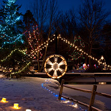 Christmas Lights in Washington Township