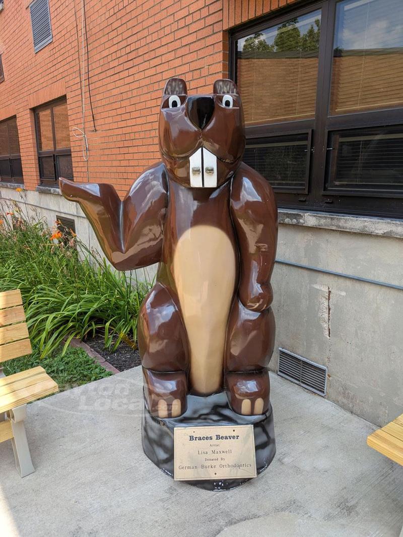 Braces Beaver - Beavers of Beavercreek