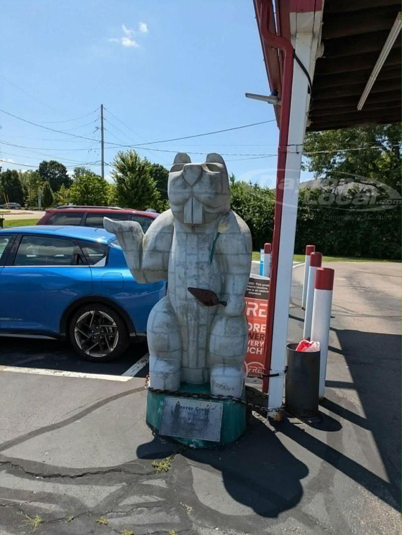Beer Beaver - Beavers of Beavercreek