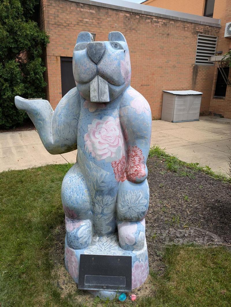 The Unknown Beaver - Beavers of Beavercreek