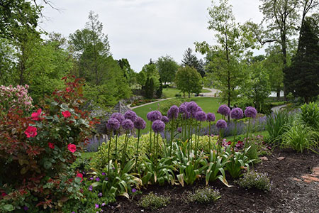 Grotto Gardens at the Veteran’s Administration Medical Center