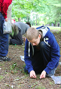Seed & Nut Collection