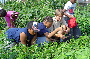 Winter Garden Workshop and Seed Swap