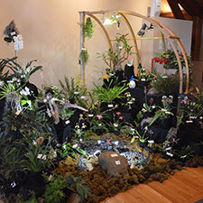 Spring Orchid Show