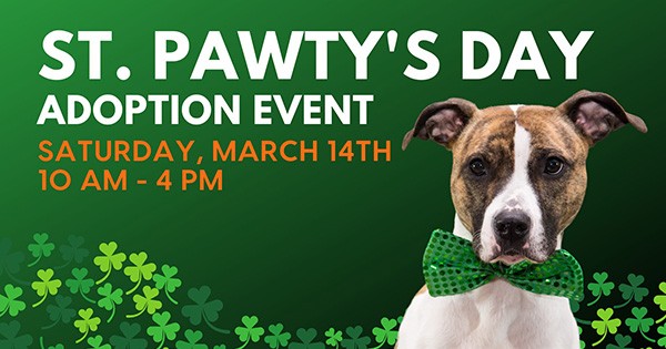 St. Pawty's Day Adoption Event