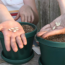 Winter Garden Workshop and Seed Swap