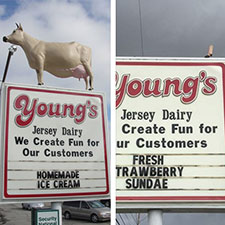 Young's Jersey Dairy Cow Sign