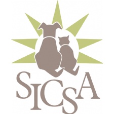 More Than Meow Camp!