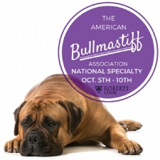 American Bullmastiff National Specialty