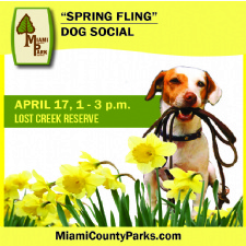 Dog Social Spring Fling