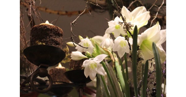 Morning Sun Florist Winter Open House