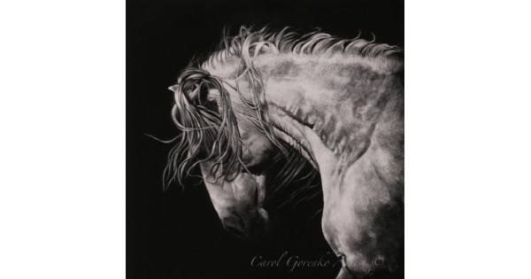 7th Annual Exhibition of International Scratchboard Art