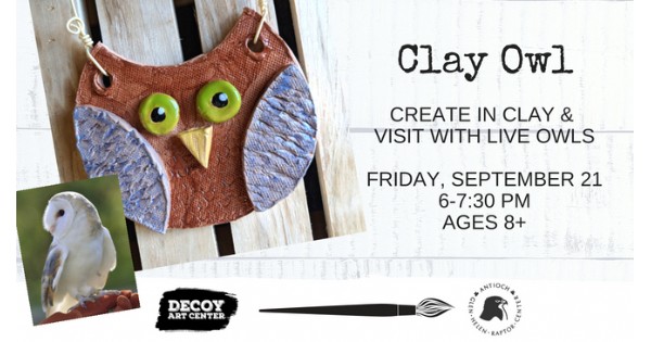 Clay Owl with the Raptor Center