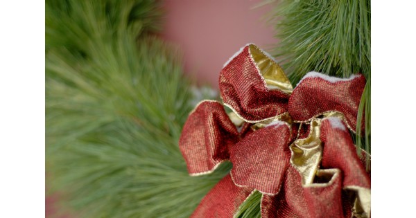 Wreath Making At Learning Tree Farm