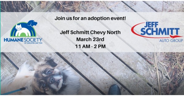 Jeff Schmitt Auto Group Dog Adoption Event