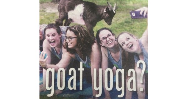 Goat Yoga Experience