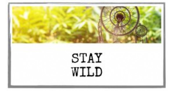 Stay Wild Art Camp
