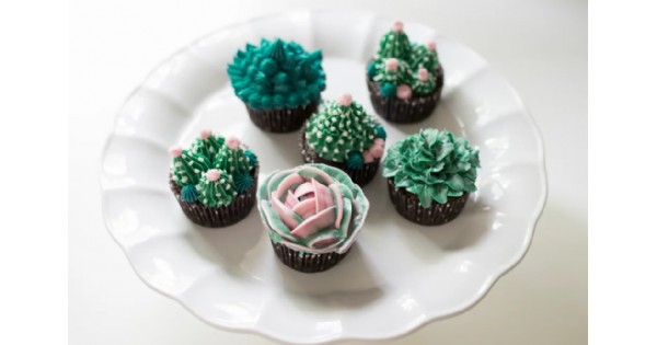 Lovely, a cupcake decorating workshop- Succulents