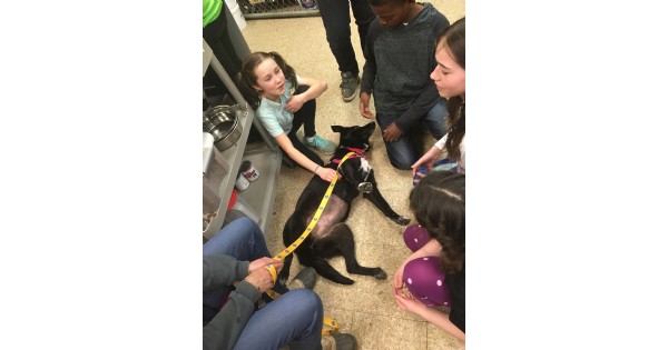 SICSA Pet Guardian Academy