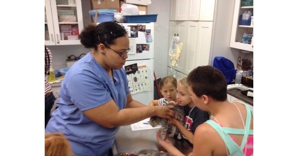 SICSA Animal Adventure Camps