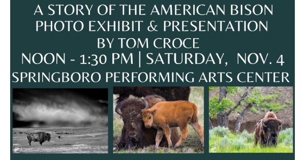 American Bison photography show and presentation