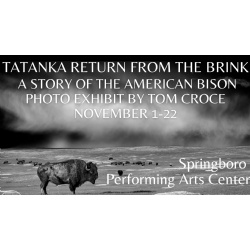American Bison Photography Show featuring the works of Tom Croce
