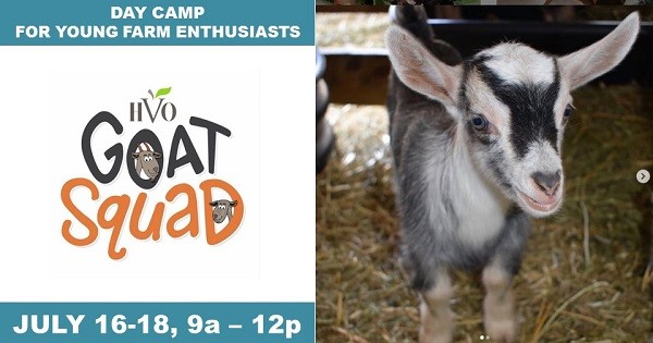 HVO Goat Squad Youth Camp