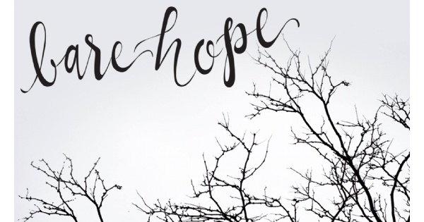 Bare Hope: gallery art show + holiday market