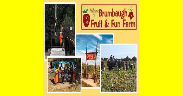 Brumbaugh Fruit & Fun Farm