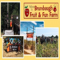 Brumbaugh Fruit & Fun Farm