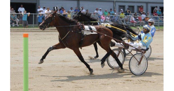 Champaign County Fair