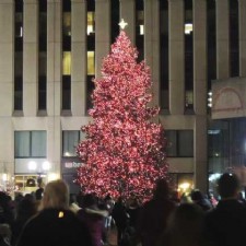 Dayton Searching for Courthouse Square Christmas Tree