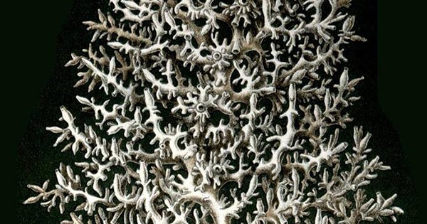 Dayton WinterFolk Fest 2023