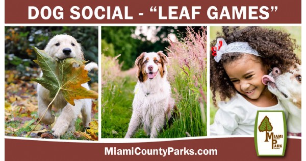Dog Social Leaf Games