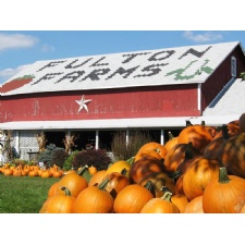 Fulton Farm Corn Maze, Pumpkin Patch & Hayride